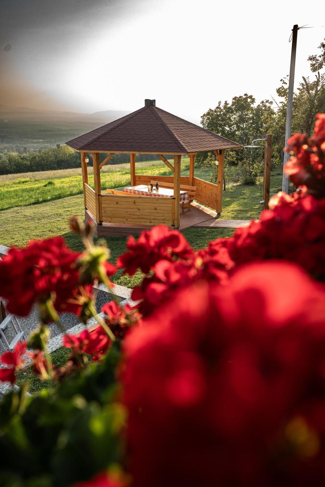 Zlatni Prag - Kraljevo Villa Exteriör bild